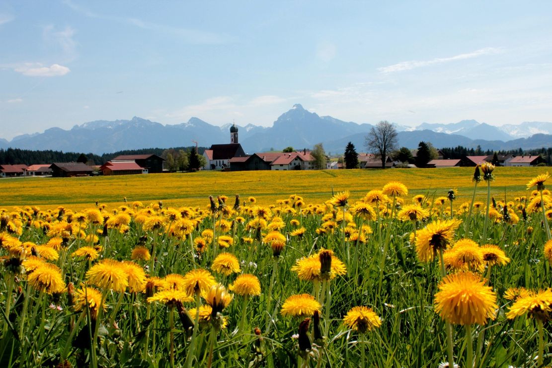 Der Blick auf Maria Hilf mit tollem Bergpanorama
