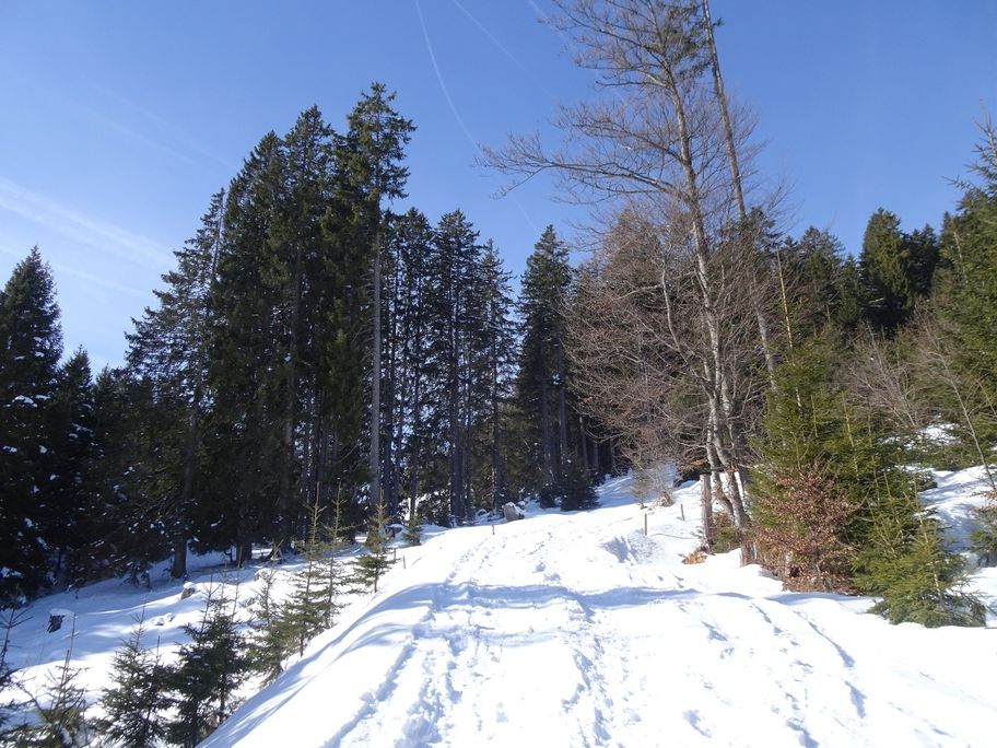 Durch das Bolgental auf den Wannenkopf