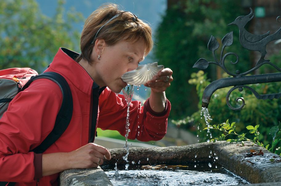 Jakobsweg Etappe 6 Bad Hindelang- Immenstadt/Bühl