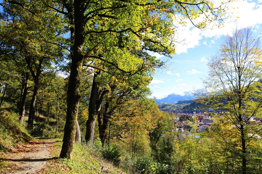 Blick vom Kalvarienberg auf Immenstadt