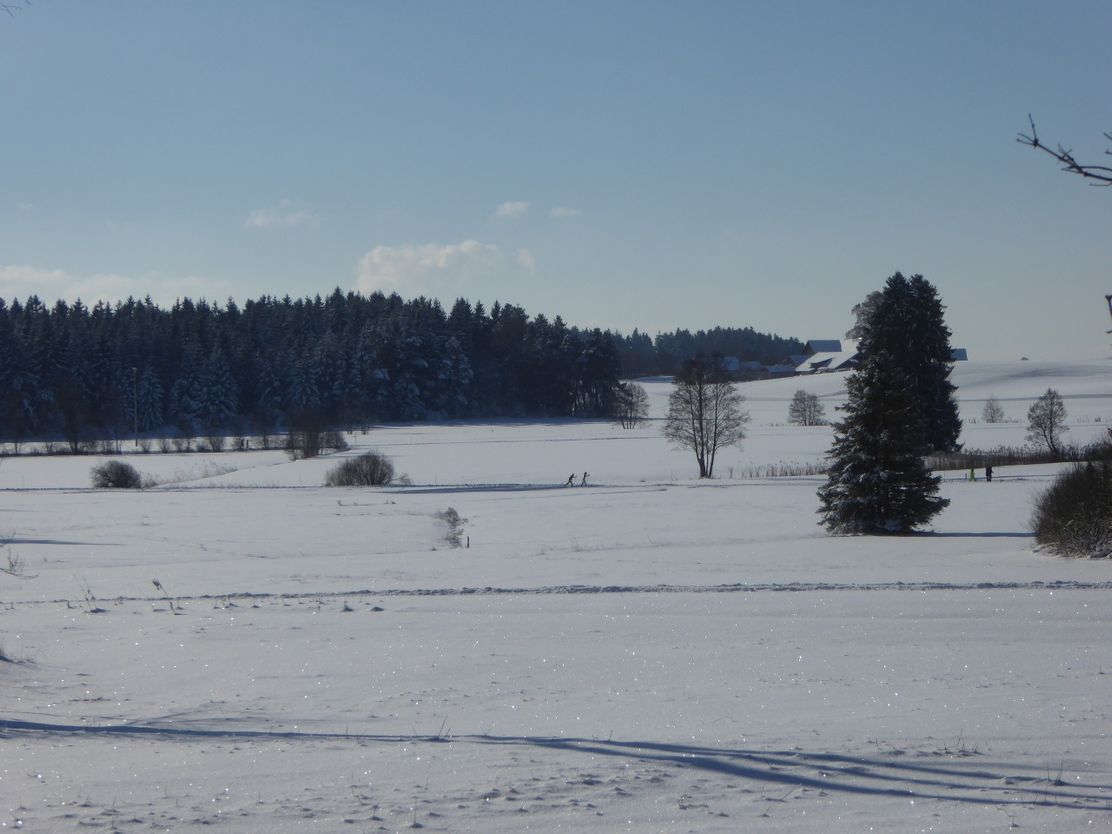 Verbindungsloipe Christazhofen Eisenharz