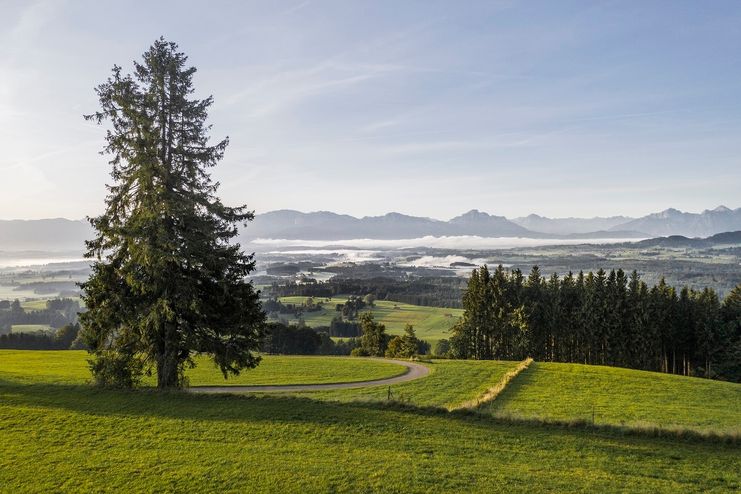 Blick in den Schlosspark am Auerberg