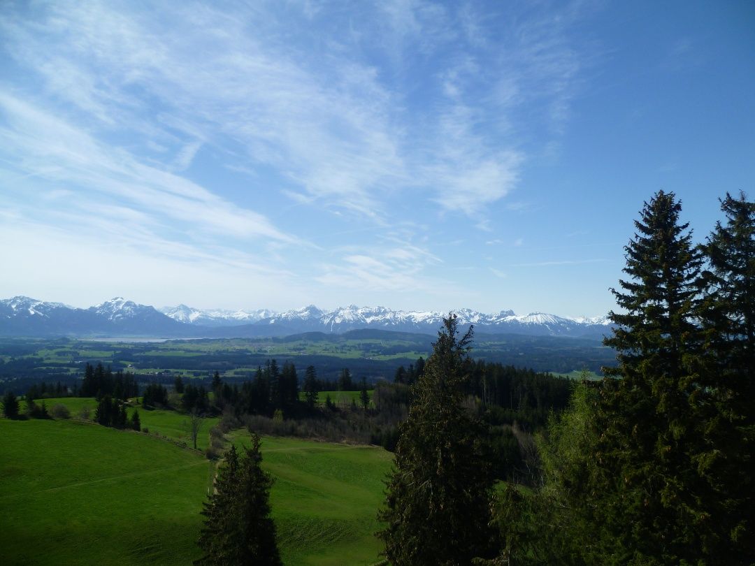 Aussicht vom Auerberg ins Allgäu