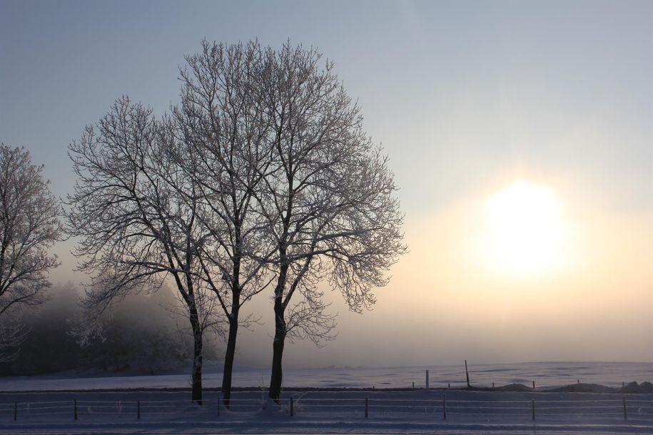 Winterliche Stimmung