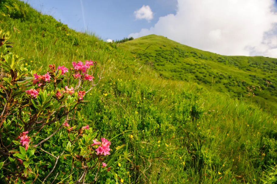 Von Grasgehren zum Riedberger Horn