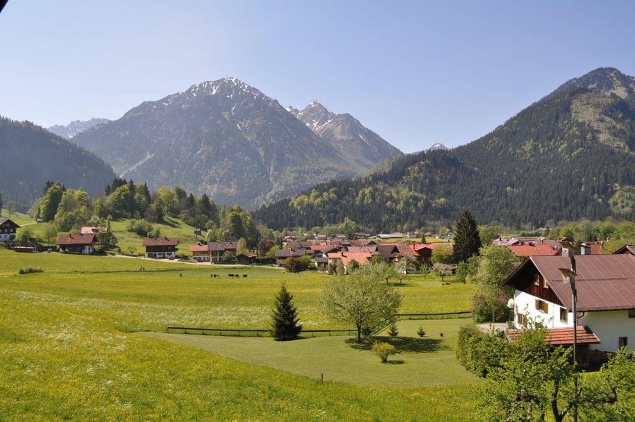 Ausblick vom Balkon im Sommer