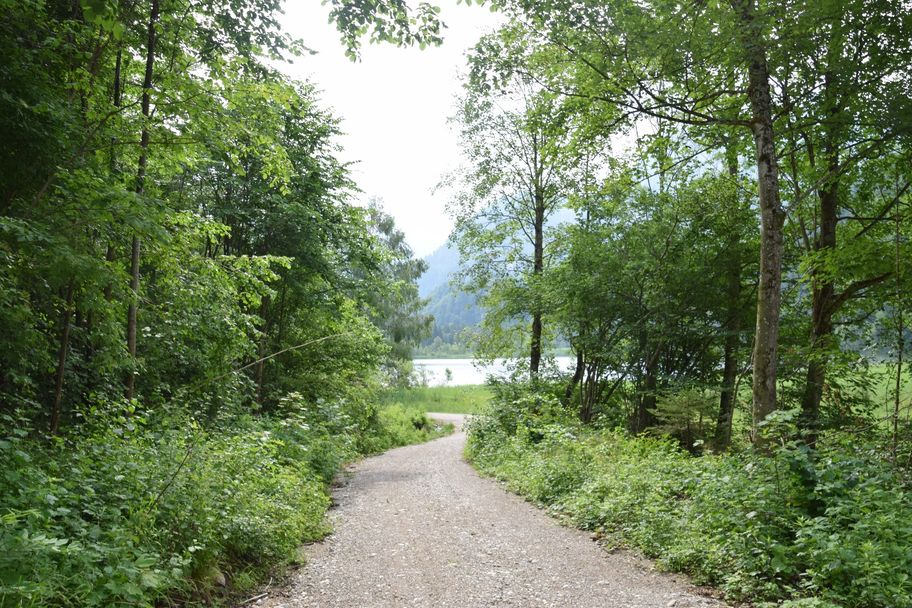 Wanderweg zum Schwansee