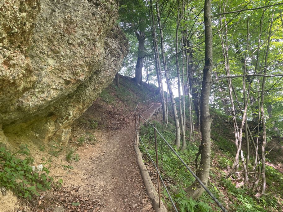 Wegeabschnitt