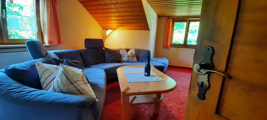 Blick ins Wohnzimmer