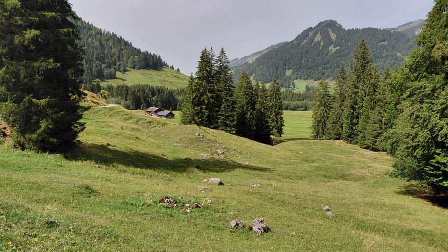 Blick auf die Iferwiesalpe