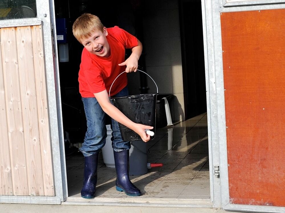 Milch für die Kälber