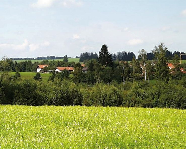 Ein herrlicher Blick übers Feld.