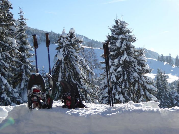 Schneeschuhwanderung