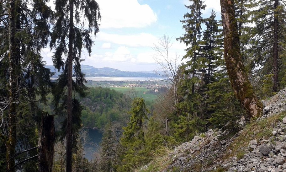 Wildromantischer Alpsee