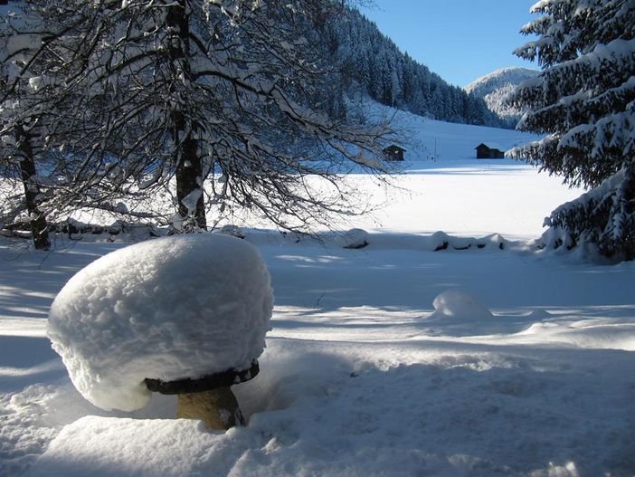 Der Garten im Winter