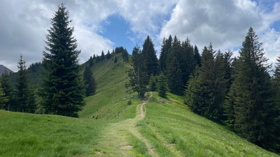 Wegeabschnitt