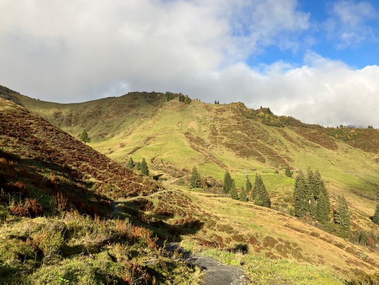 Blick aufs Riedberger Horn