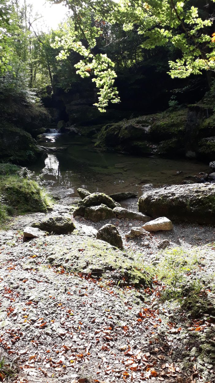 Im Haldertobel