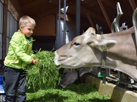 unserekhefreuensichberbesuch