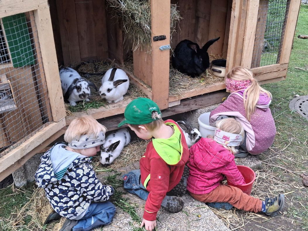 Kinder beim Hasenfüttern im Freilaufgehege