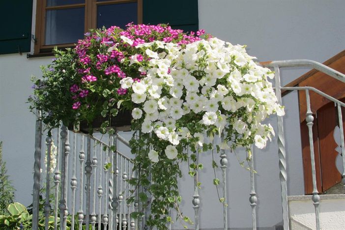 Blumenschmuck