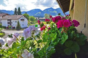Sommeraussicht