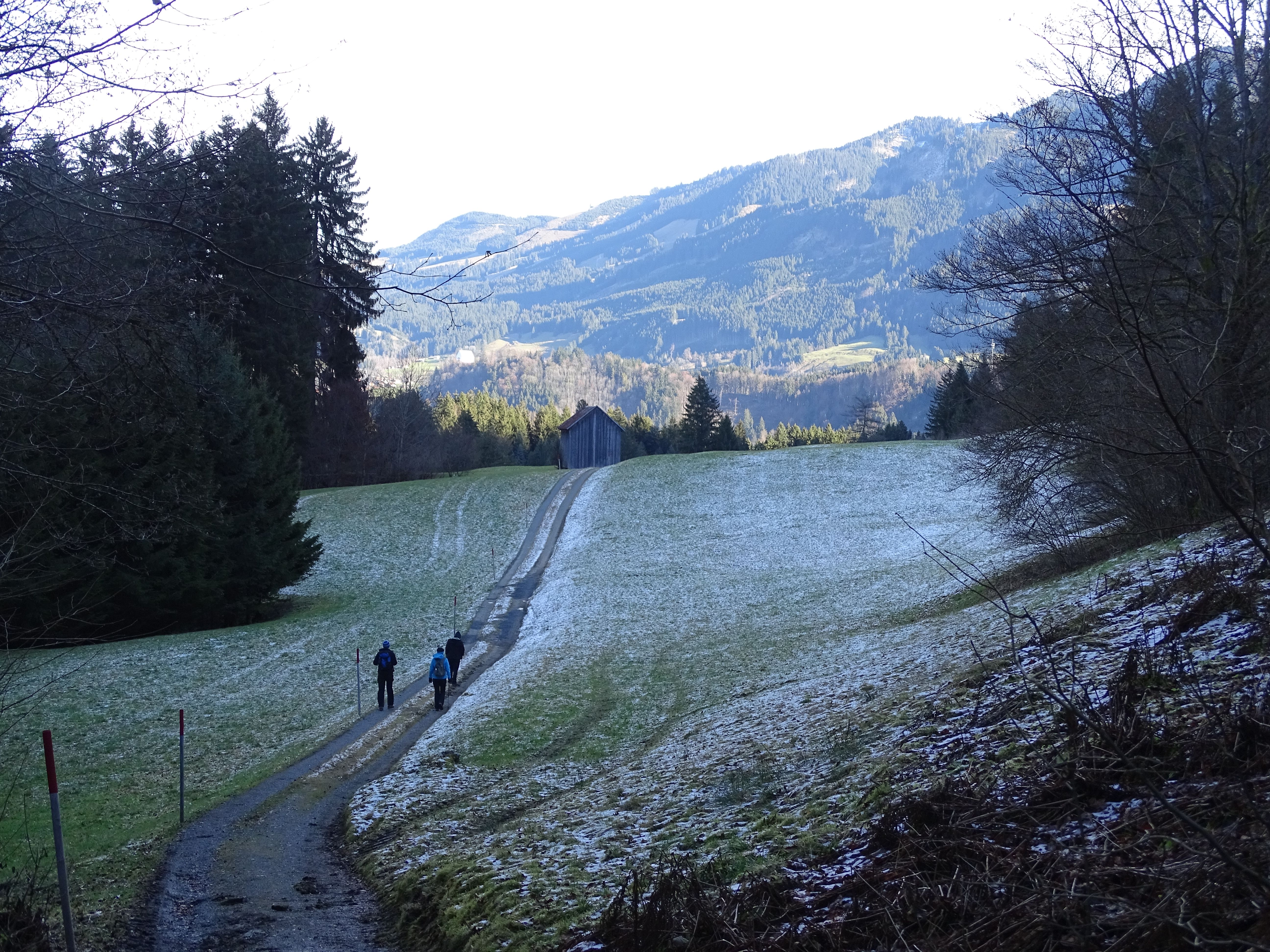 Wanderung um den Ochsenberg | Obermaiselstein im Allgäu - Allgäu