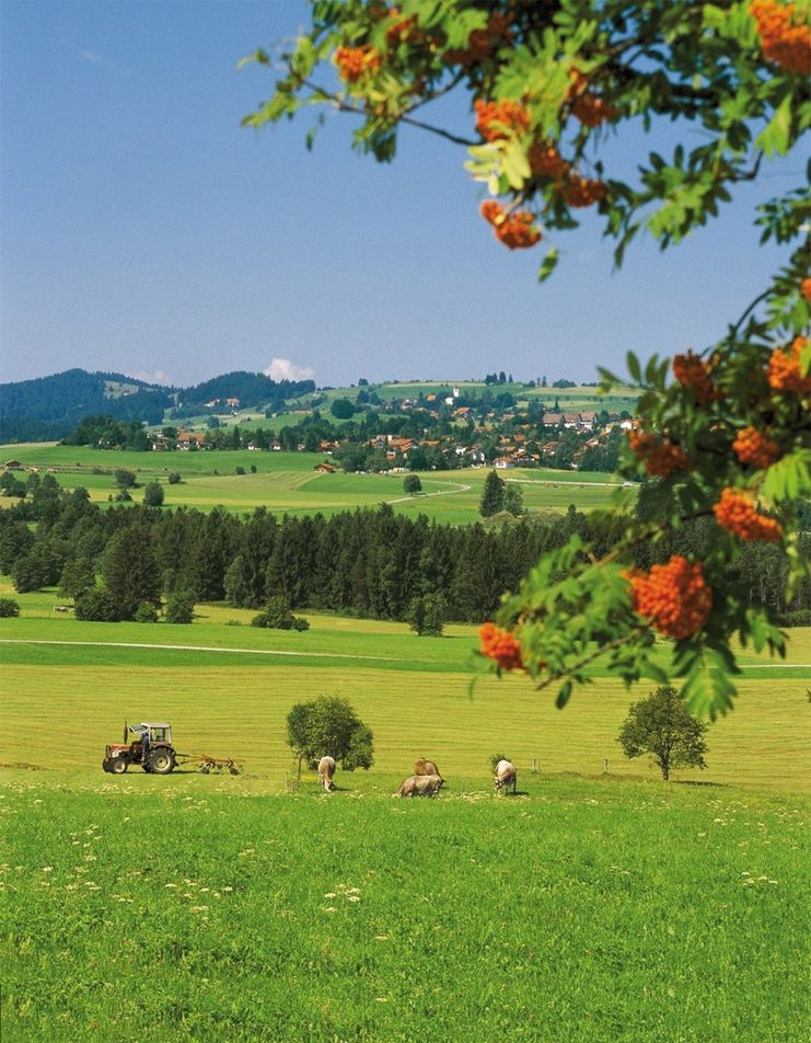 Unser Blick schweift über die wunderschöne Landschaft.