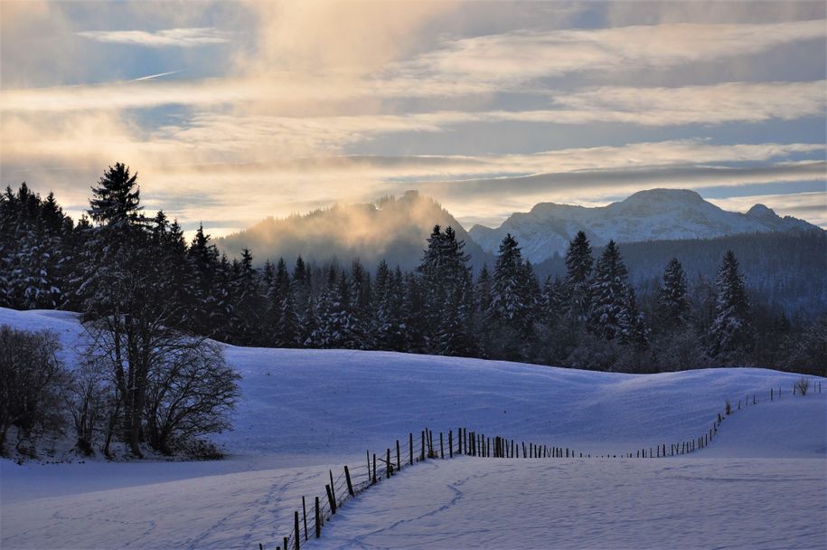 Winter_11