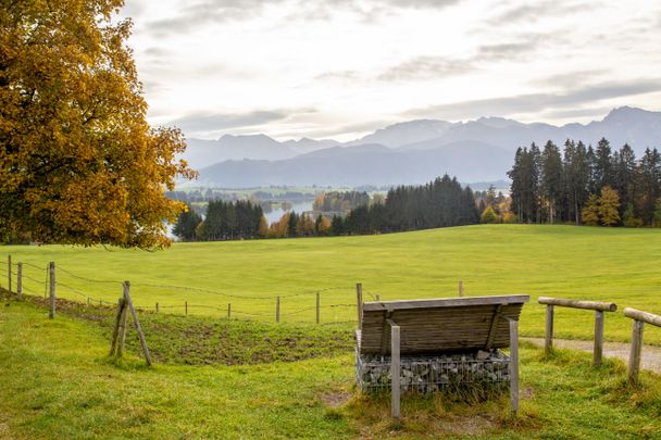 Forggensee Herbst 2020 - Amanda Linder
