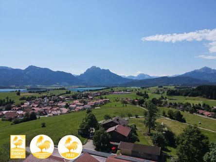 Sonnige Alleinlage über dem Forggensee mit Weitblick auf Berge und Königsschlösser