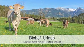 Biohof Burger Urlaub auf dem Biohof