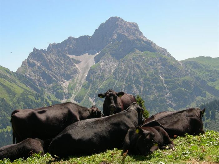 Blick ins Hochgebirge