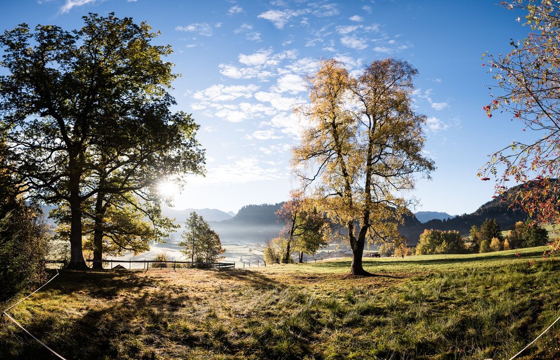 Spöckwiese, Ort der Besinnung in Obermaiselstein