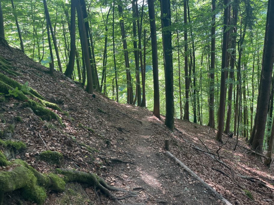 Wegeabschnitt