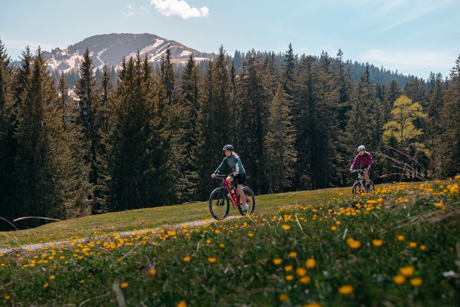 Mountainbiken bei der Alpe Mittelberg