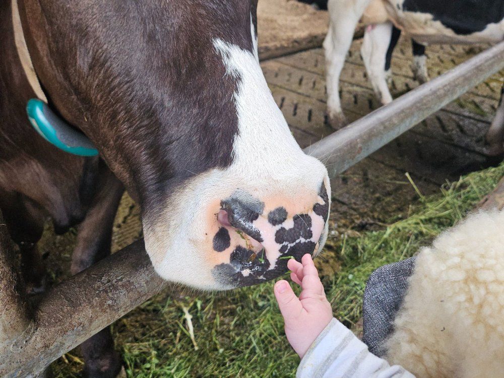 20250602_164258 - Kopie