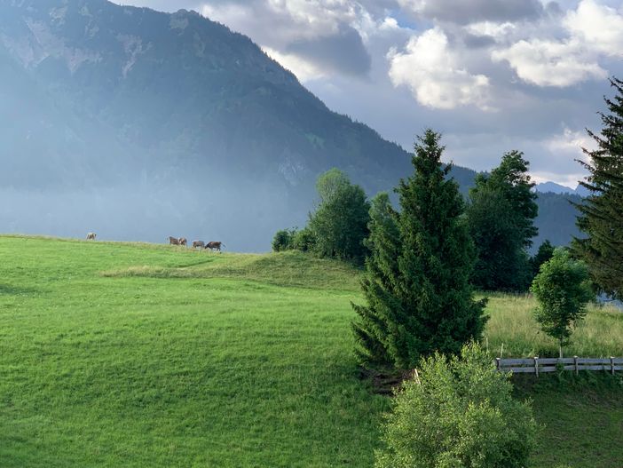 Blick_vom_Hotel_auf_Iseler