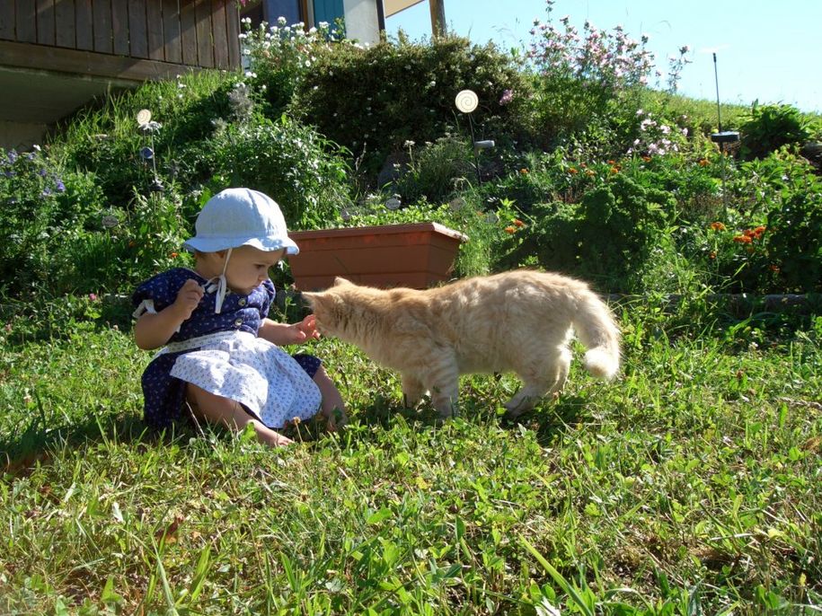 Da leuchten Kinderaugen