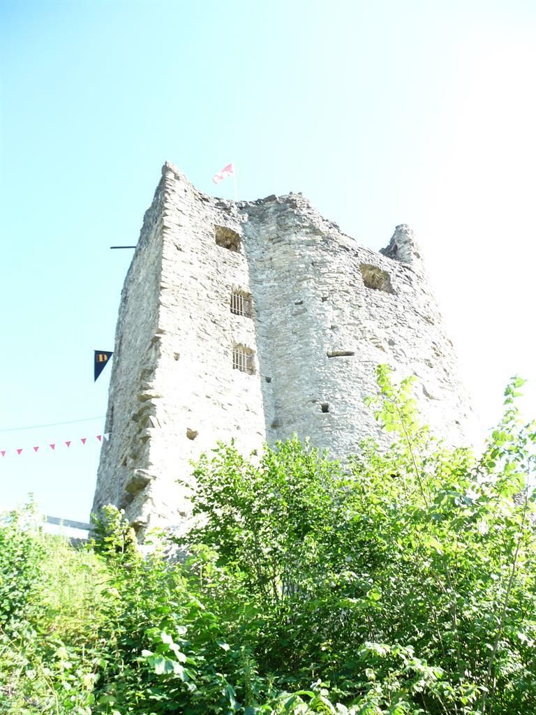 Ruine Laubenberger - Stein