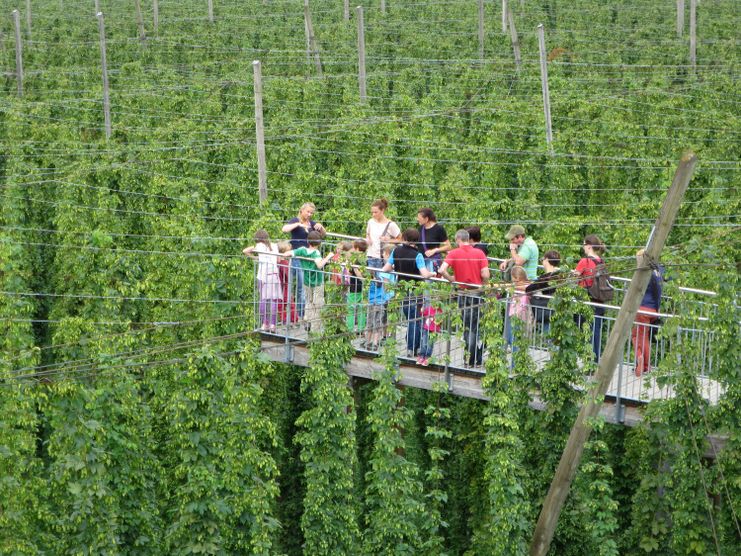 Der Hopfensteg in Tettnang