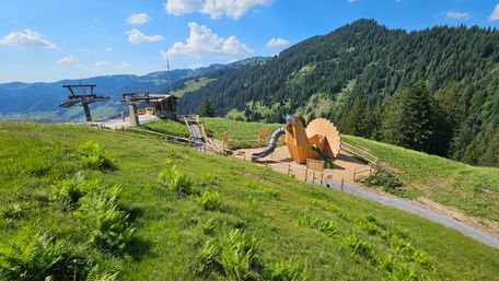 Das Raufusshuhn-Maskottchen zum Erlebnisweg am Riedbergerhorn
