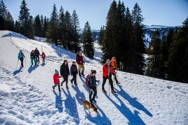 Winterführung zur Mittelalpe