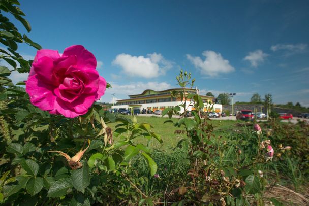 Rosengarten bei Primavera in Oy-Mittelberg