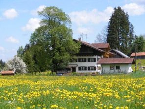 Rund ums Haus Blumenwiesen