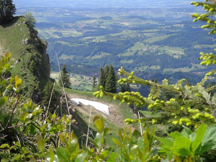 Frühling am Hochgrat