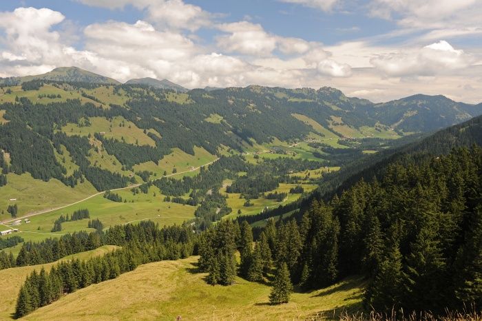 Alles fließt in Sibratsgfäll - Der Erdrutsch am Feuerstätterkopf