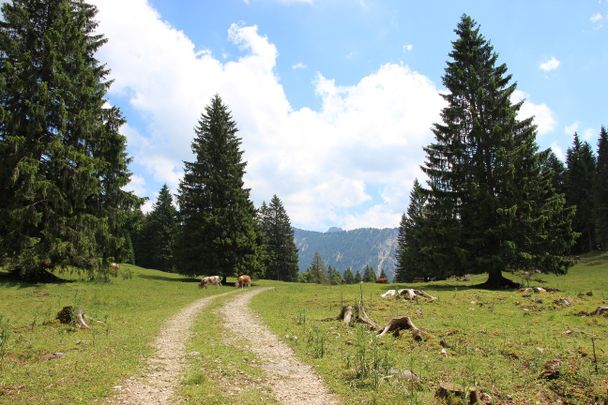 Blick ins Himmelreich