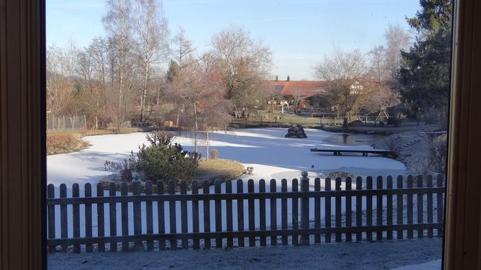 Blick vom Sofa