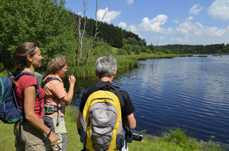 Wandern am Herbisweiher